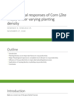 Physiological Responses of Corn (Zea Mays)