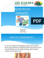 372908371-Penyuluhan-Hemoroid.pptx