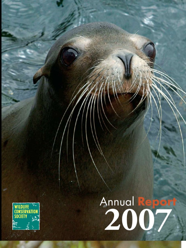 Womens sperrys - Etsy México, image size:768x1024