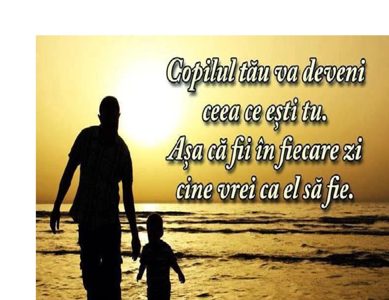 Fise Citate | PDF