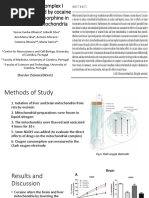 Mitochondrial Complex I Dysfunction Induced by Cocaine and Cocaine Plus Morphine in Brain and Liver Mitochondria