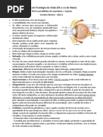 Aula de Fisiologia Da Visão 