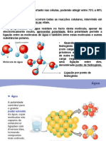 aula_2_quimica_fisiologica