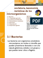 Bacterias Taxonomia