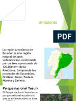 Amazonia