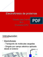 Electroforesis de proteínas