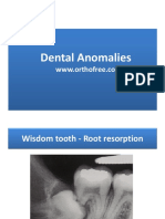 4 Dental Anomaly