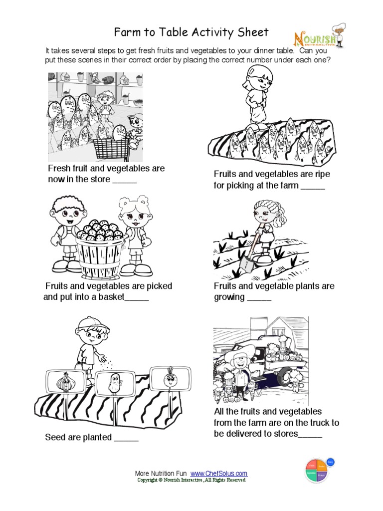 Farm To Table Activity Sheet PDF