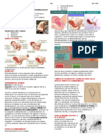 Anemia de La Enfermedad Cronica