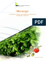 4_morango_producao_de_outono_com_1369130502....pdf