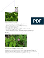 Ciri Khusus Tumbuhan Eceng Gondok, Putri Malu, Bunga Bangkai, Pohon Jati, dan Rafflesia Arnoldi