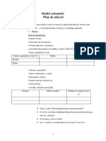 Model de Plan de Afaceri-2