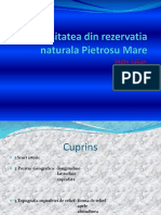 Biodiversitatea Din Rezervatia Naturala Pietrosu Mare