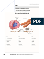 Biologia y Geologia 3 Eso