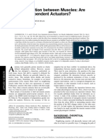 2009_jan - Force Summation Between Muscles. Are Muscles Independent Actuators