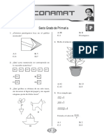 6P_Lima(2009).pdf