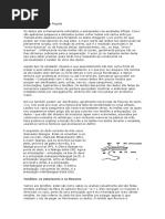 A Importância Da Pegada