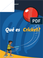 Qué es Cricket en