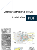 CC3_Organite celulare.pdf