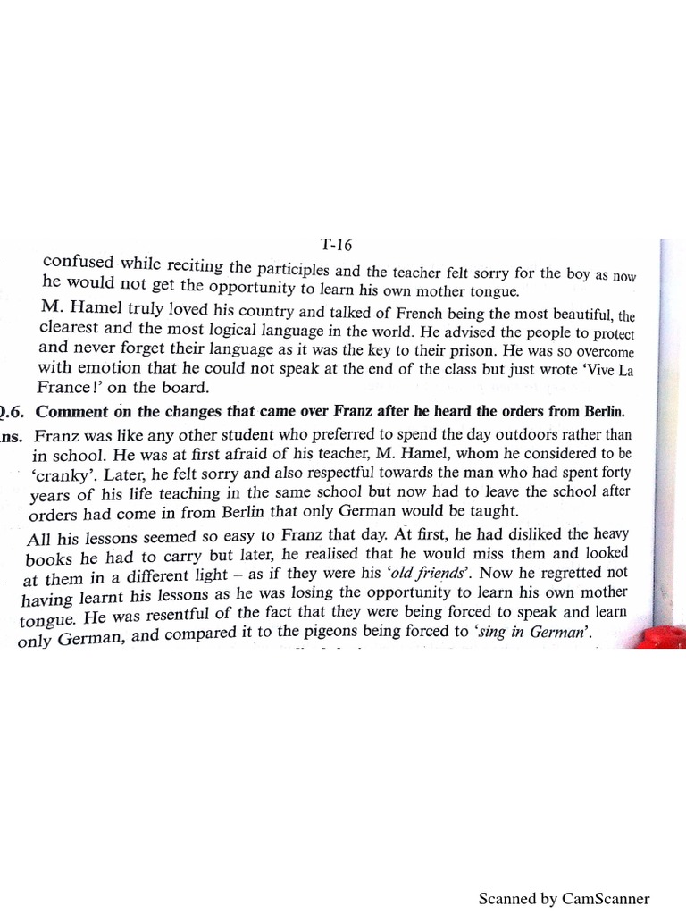 The Last Lesson | PDF