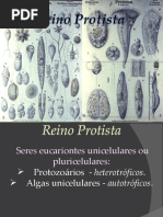 Protista - Biologia