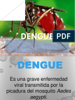 dengue.ppt