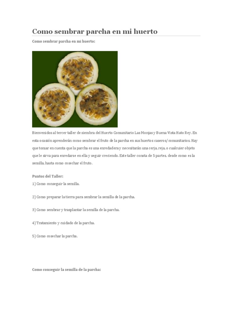 Cilantro Guia Pdf Huerta Siembra