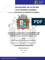 analsisi d efastores socieconomicos en produccionde rs.pdf