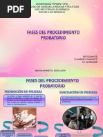 Fases Del Procedimiento Probatorio