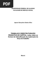 TRABALHO DE CONCLUSÃO DE CURSO - JAPSON