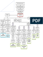 Pathway Abses Perianal