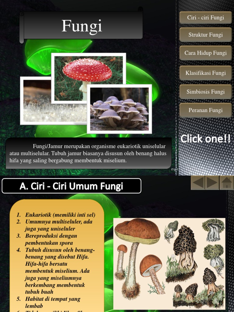Fungi Ppt Template Free Download
