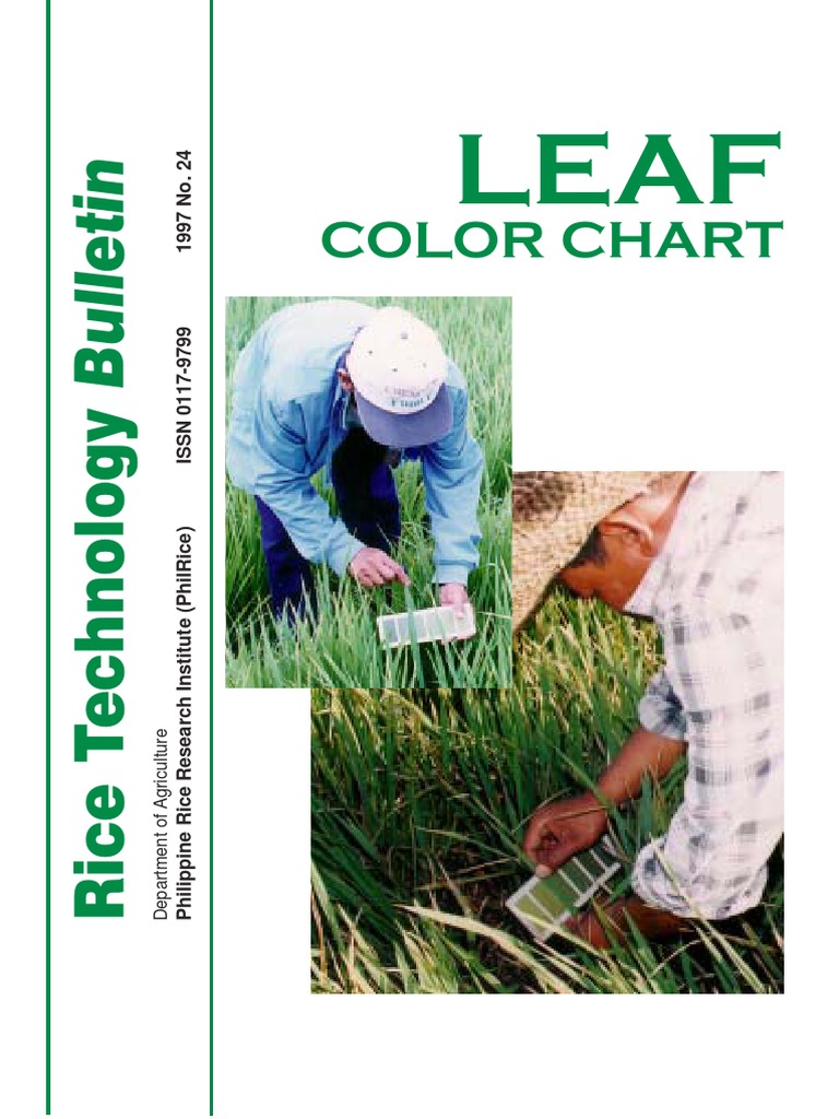Leaf Color Chart for Rice Fertilization PDF Rice Horticulture And