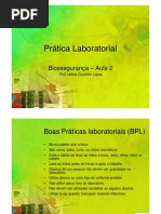 Aula 2 - Bpls PDF