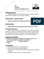 Painting Inspector Resume - 5+ Years Experience
