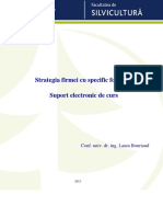 5 - Strategia - Firmei in Domeniul Forestier PDF