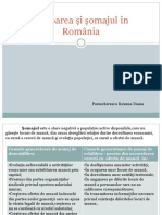 Ocuparea Și Șomajul În România-Diana
