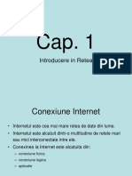 BasicIP-1 - CAP 1-11