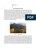 Geomorfologi Gunung API Di Aceh