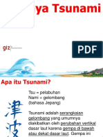 Standard Powerpoint Bahaya Tsunami.pdf