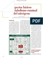 Metabolismo Ruminal Del Nitrógeno