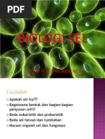 Biologi Sel Minggu Ke 2 4 Organel Sumi