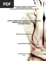 Dissertação Mestrado - Luise Aranha