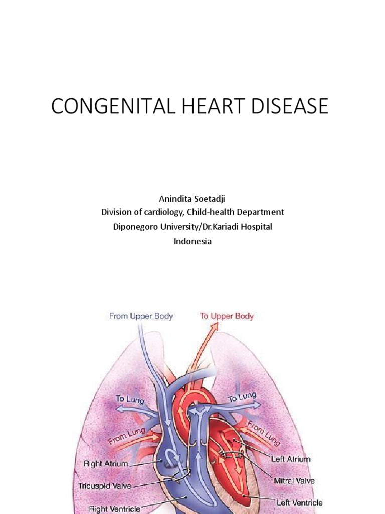 Understanding Congenital Heart Disease | PDF | Congenital Heart Defect ...