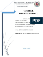 Control Organizacional