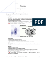 Resumo Parasitologia Médica - Protozoários 1.pdf
