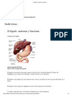 El Hígado - Anatomía y Funciones