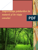 Importanţa Pădurilor in Natură Şi in Viaţa Omului Lia