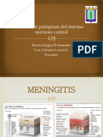 Bacterias Patógenas Del Sistema Nervioso Central