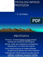 Kuliah Pathologic Process Protozoa 7 Nop 2018